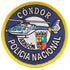 Parche Policía Nacional Cóndor