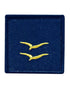 Parche de Divisa para Prenda Deportiva, Ejército del Aire. Alumno Cadete de 2º
