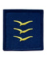 Parche de Divisa para Prenda Deportiva, Ejército del Aire. Alumno Cadete de 3º