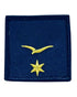 Parche de Divisa para Prenda Deportiva, Ejército del Aire. Alférez Alumno de 3º