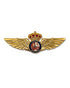 Pin de Piloto Policía Nacional CNP Metal Dorado