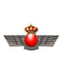 Rokiski/Roquisqui Ejercito del Aire España